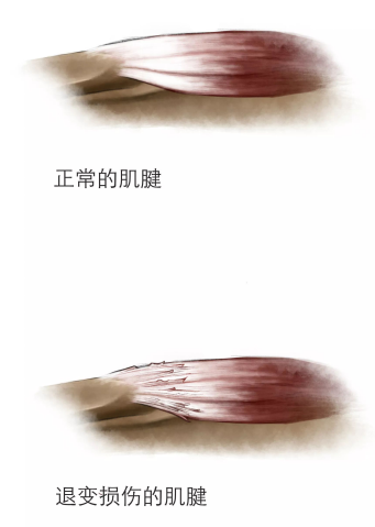 图片25.png