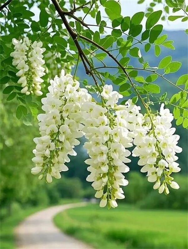 微信图片_2026-05-06_174406_201.jpg
